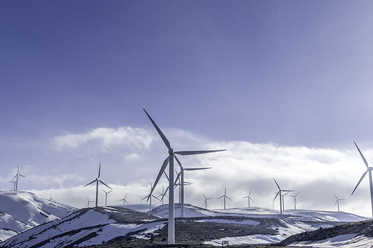 Renewable Energy Program