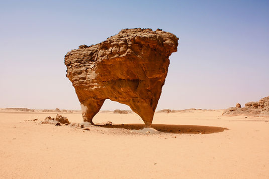 Desert Wildlife Conservation